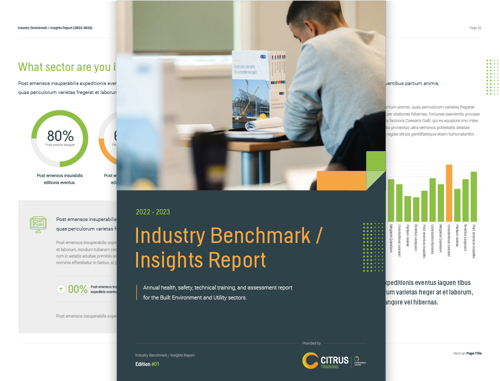 Industry Insights Report 2023